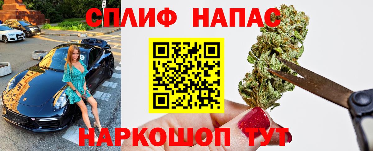 Каннабис сатива Коркино